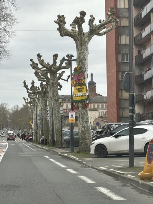 Iconographie - Affiche de communication du Carnaval d’Albi dans une rue