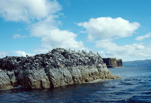 Iconographie - Ecosse Fingal 