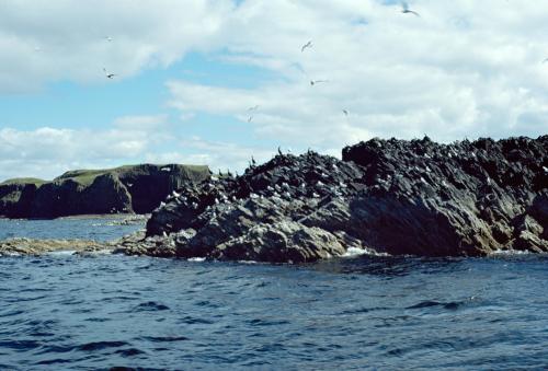 Iconographie - Ecosse Fingal 