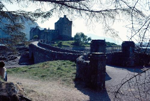 Iconographie - Ecosse Dornoe