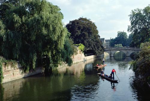 Iconographie - Canterbury rivière la Came