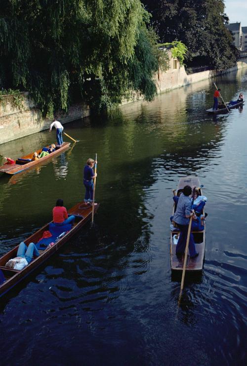 Iconographie - Canterbury rivière la Came