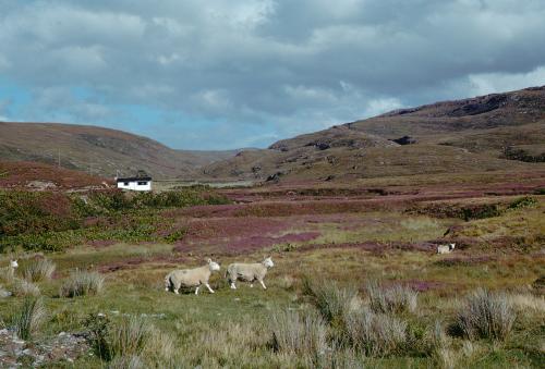 Iconographie - Ecosse strathkanaird
