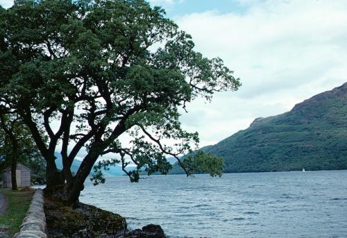 Iconographie - Ecosse Loch Lomond
