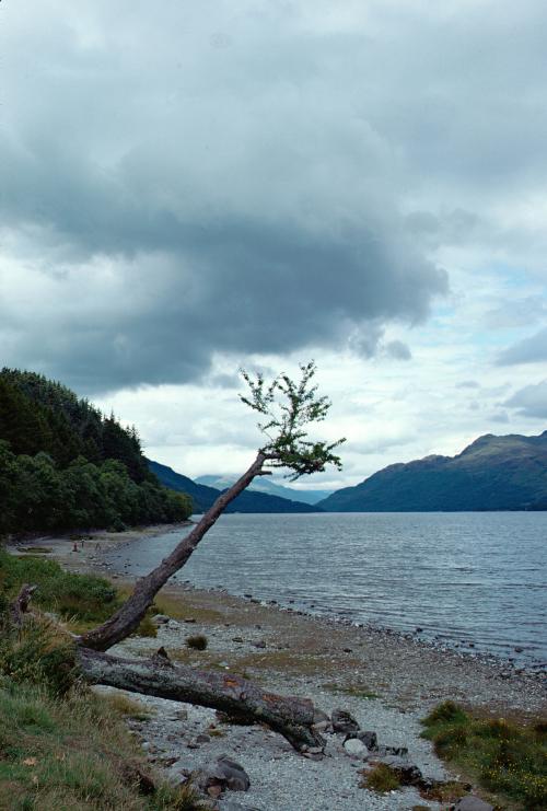 Iconographie - Ecosse Loch Lomond