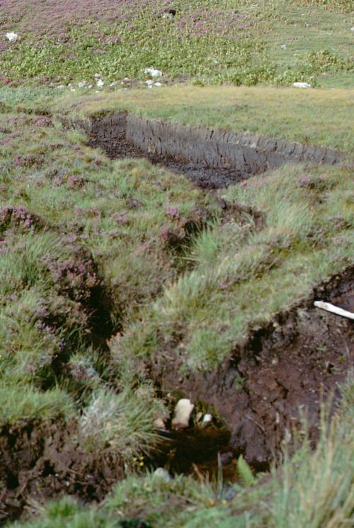 Iconographie - Ecosse Tourbière