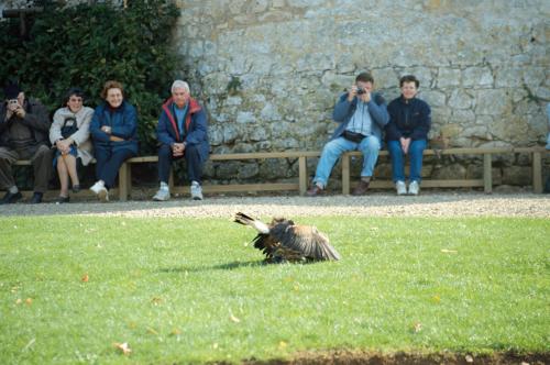 Iconographie - La Domme Dordogne