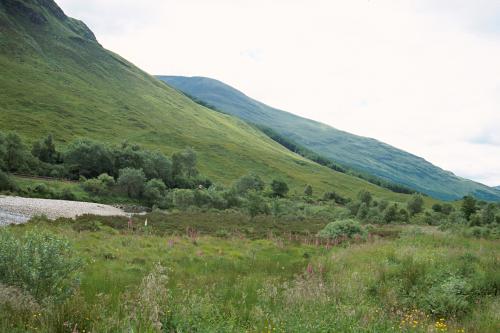 Iconographie - Ecosse Parc National des Trossachs