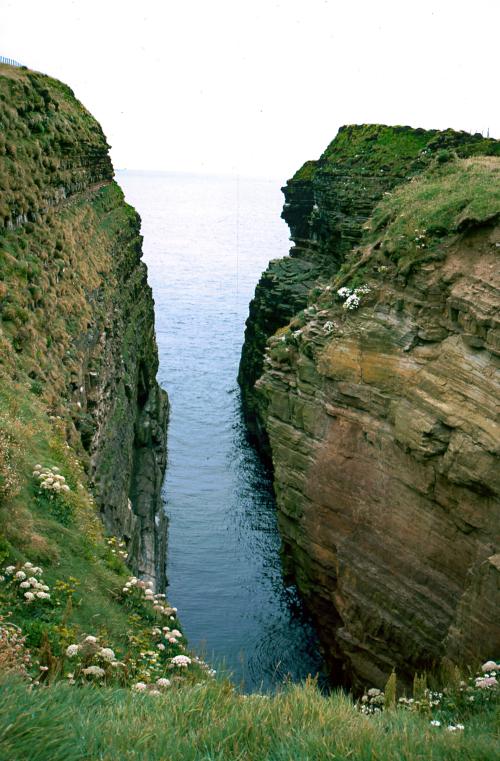 Iconographie - Ecosse Cairgorms National Park