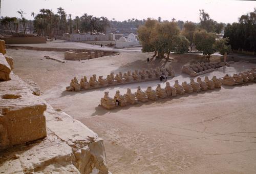 Iconographie - Allée des Béliers - Temple de Karnak