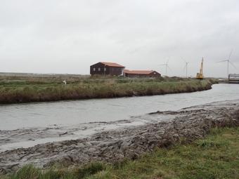 Iconographie - Bec et polder