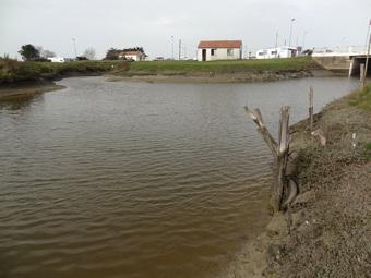 Iconographie - Bec et polder