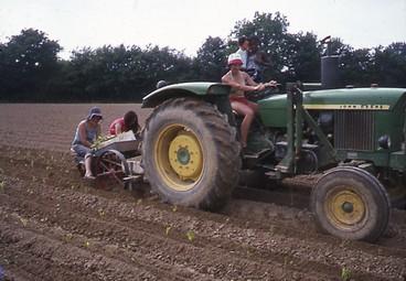 Iconographie - Tracteur