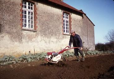 Iconographie - Geste agricole