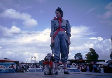 Iconographie - Chien Caniche