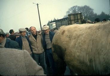 Iconographie - Foire