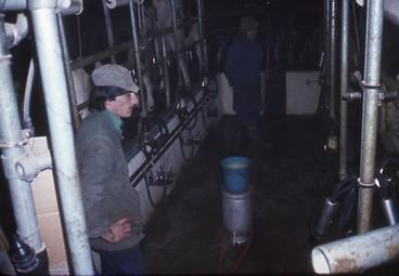 Iconographie - Salle de traite