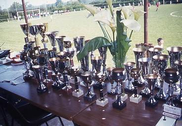 Iconographie - Coupes