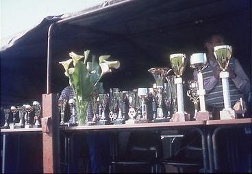 Iconographie - Coupes