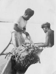 Iconographie - Pêcheurs