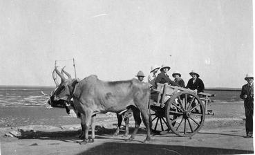 Iconographie - Charrette