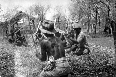 Iconographie - Récolte