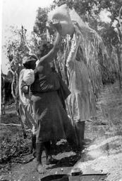 Iconographie - Récolte