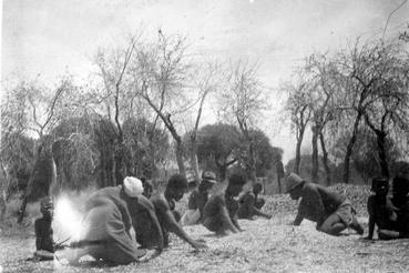 Iconographie - Récolte