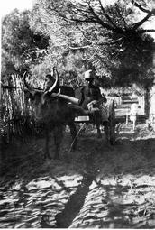 Iconographie - Charrette