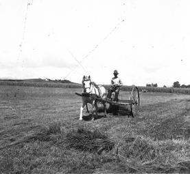 Iconographie - Attelage