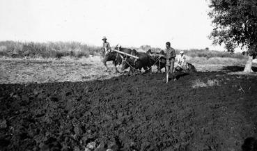 Iconographie - Labour