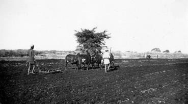 Iconographie - Labour