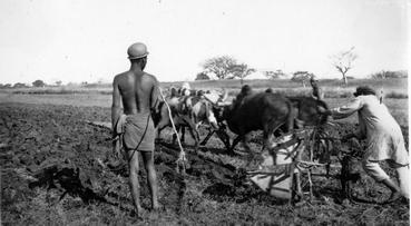 Iconographie - Labour