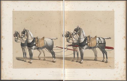 Iconographie - Harnais de poste à 4 - Gravure Léné