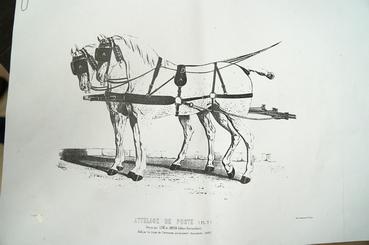 Iconographie - Harnais de poste 02