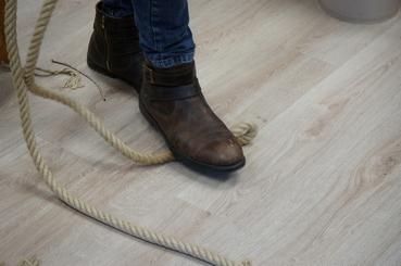 Iconographie - Harnais de poste 31