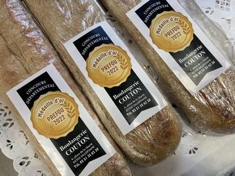 Iconographie - Projet préfou