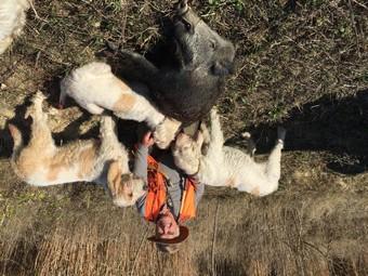 Iconographie - André Barreteau