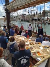 Iconographie - Fécamp Grand Escale