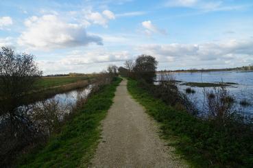 Iconographie - Sortie photo par drone du marais