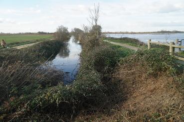 Iconographie - Sortie photo par drone du marais