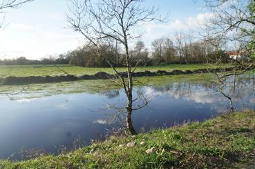Iconographie - Sortie photo par drone du marais