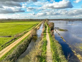Iconographie - Le marais inondé