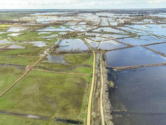 Iconographie - Le marais inondé