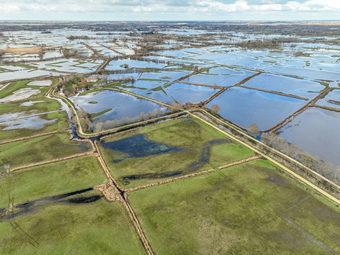 Iconographie - Le marais inondé