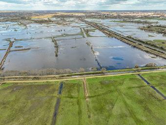 Iconographie - Le marais inondé