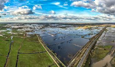 Iconographie - Le marais inondé