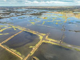 Iconographie - Le marais inondé