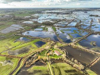 Iconographie - Le marais inondé