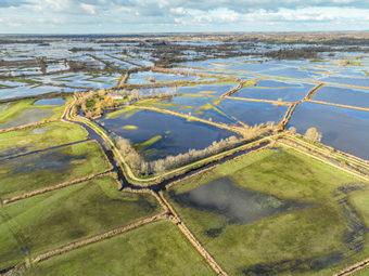 Iconographie - Le marais inondé